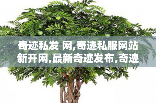 奇迹私发 网,奇迹私服网站新开网,最新奇迹发布,奇迹私服网站新开网