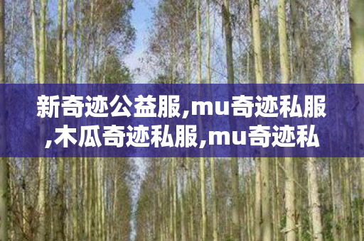 新奇迹公益服,mu奇迹私服,木瓜奇迹私服,mu奇迹私服