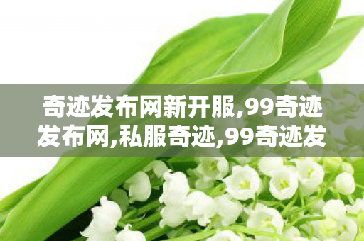 奇迹发布网新开服,99奇迹发布网,私服奇迹,99奇迹发布网