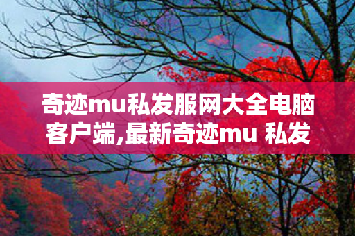 奇迹mu私发服网大全电脑客户端,最新奇迹mu 私发服网,奇迹私服网大全,最新奇迹mu 私发服网