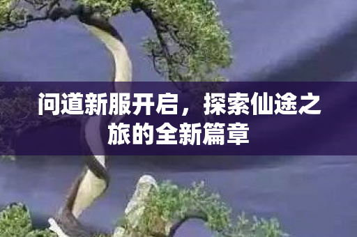 问道新服开启，探索仙途之旅的全新篇章