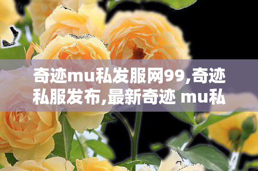 奇迹mu私发服网99,奇迹私服发布,最新奇迹 mu私发服网,奇迹私服发布