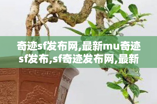 奇迹sf发布网,最新mu奇迹sf发布,sf奇迹发布网,最新mu奇迹sf发布