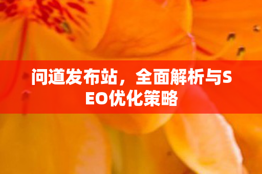 问道发布站，全面解析与SEO优化策略