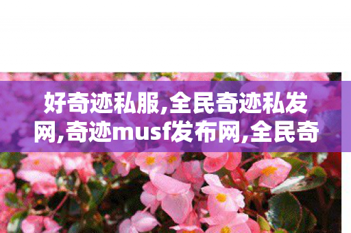 好奇迹私服,全民奇迹私发网,奇迹musf发布网,全民奇迹私发网