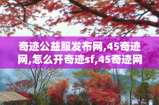 奇迹公益服发布网,45奇迹网,怎么开奇迹sf,45奇迹网