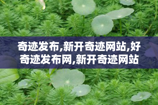 奇迹发布,新开奇迹网站,好奇迹发布网,新开奇迹网站