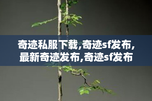 奇迹私服下载,奇迹sf发布,最新奇迹发布,奇迹sf发布