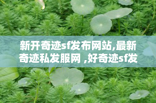 新开奇迹sf发布网站,最新奇迹私发服网 ,好奇迹sf发布网,最新奇迹私发服网