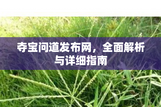 夺宝问道发布网，全面解析与详细指南