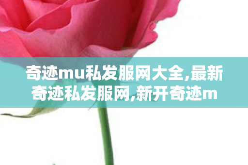 奇迹mu私发服网大全,最新奇迹私发服网,新开奇迹mu 私发服网,最新奇迹私发服网