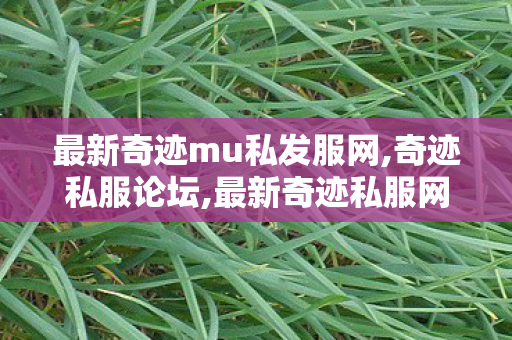 最新奇迹mu私发服网,奇迹私服论坛,最新奇迹私服网,奇迹私服论坛