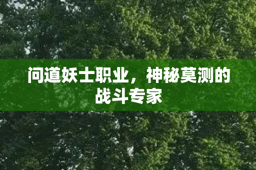 问道妖士职业，神秘莫测的战斗专家