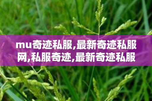 mu奇迹私服,最新奇迹私服网,私服奇迹,最新奇迹私服网