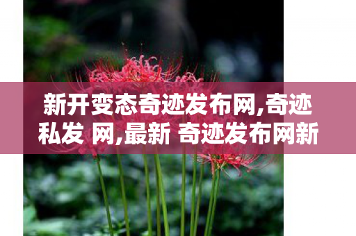 新开变态奇迹发布网,奇迹私发 网,最新 奇迹发布网新开服,奇迹私发 网