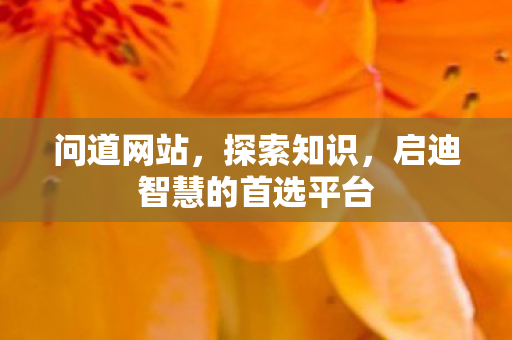 问道网站，探索知识，启迪智慧的首选平台