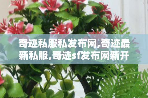 奇迹私服私发布网,奇迹最新私服,奇迹sf发布网新开服,奇迹最新私服