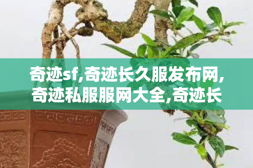 奇迹sf,奇迹长久服发布网,奇迹私服服网大全,奇迹长久服发布网