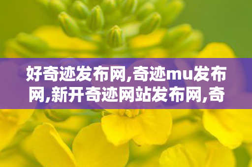 好奇迹发布网,奇迹mu发布网,新开奇迹网站发布网,奇迹mu发布网