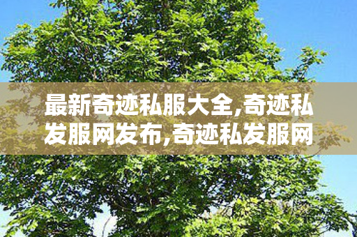 最新奇迹私服大全,奇迹私发服网发布,奇迹私发服网发布,奇迹私发服网发布