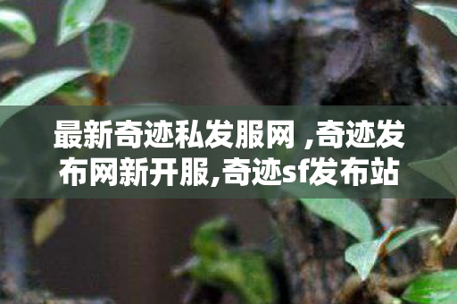 最新奇迹私发服网 ,奇迹发布网新开服,奇迹sf发布站,奇迹发布网新开服
