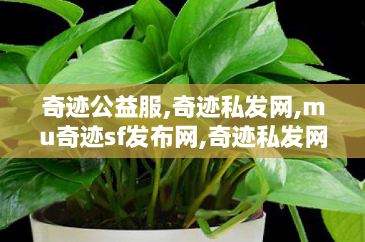 奇迹公益服,奇迹私发网,mu奇迹sf发布网,奇迹私发网