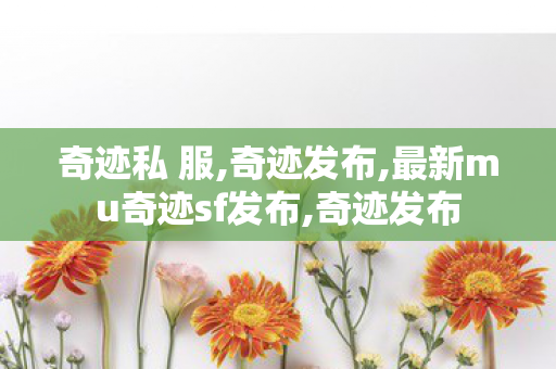 奇迹私 服,奇迹发布,最新mu奇迹sf发布,奇迹发布