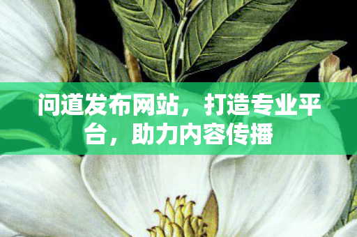 问道发布网站，打造专业平台，助力内容传播