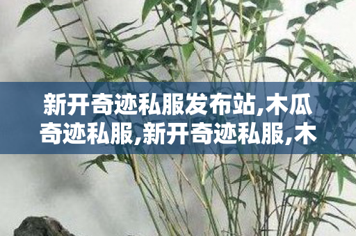 新开奇迹私服发布站,木瓜奇迹私服,新开奇迹私服,木瓜奇迹私服