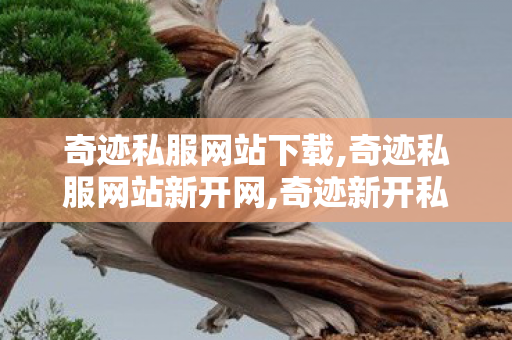 奇迹私服网站下载,奇迹私服网站新开网,奇迹新开私服,奇迹私服网站新开网