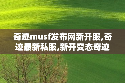 奇迹musf发布网新开服,奇迹最新私服,新开变态奇迹发布网,奇迹最新私服