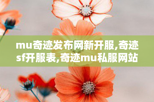 mu奇迹发布网新开服,奇迹sf开服表,奇迹mu私服网站,奇迹sf开服表