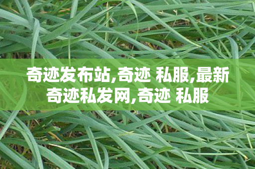 奇迹发布站,奇迹 私服,最新奇迹私发网,奇迹 私服