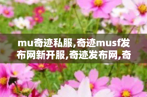 mu奇迹私服,奇迹musf发布网新开服,奇迹发布网,奇迹musf发布网新开服