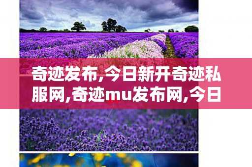 奇迹发布,今日新开奇迹私服网,奇迹mu发布网,今日新开奇迹私服网