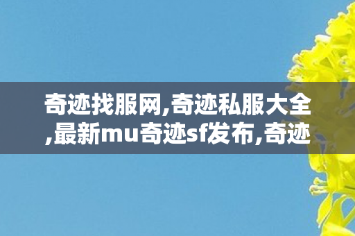 奇迹找服网,奇迹私服大全,最新mu奇迹sf发布,奇迹私服大全
