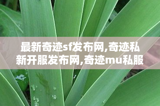 最新奇迹sf发布网,奇迹私新开服发布网,奇迹mu私服网站,奇迹私新开服发布网