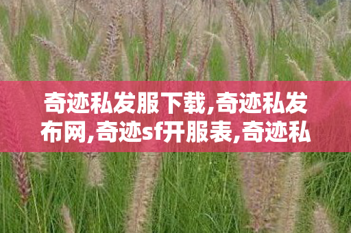 奇迹私发服下载,奇迹私发布网,奇迹sf开服表,奇迹私发布网