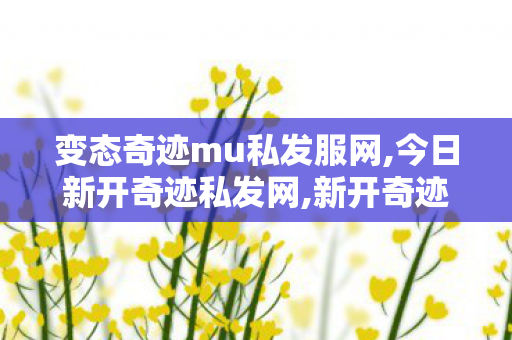 变态奇迹mu私发服网,今日新开奇迹私发网,新开奇迹发布网站,今日新开奇迹私发网
