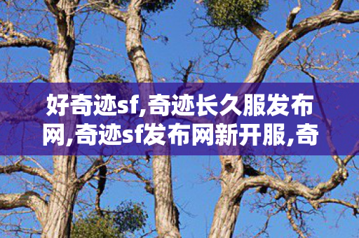 好奇迹sf,奇迹长久服发布网,奇迹sf发布网新开服,奇迹长久服发布网