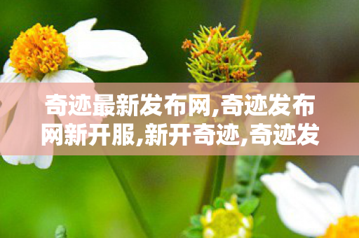 奇迹最新发布网,奇迹发布网新开服,新开奇迹,奇迹发布网新开服