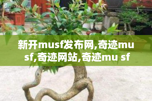 新开musf发布网,奇迹mu sf,奇迹网站,奇迹mu sf