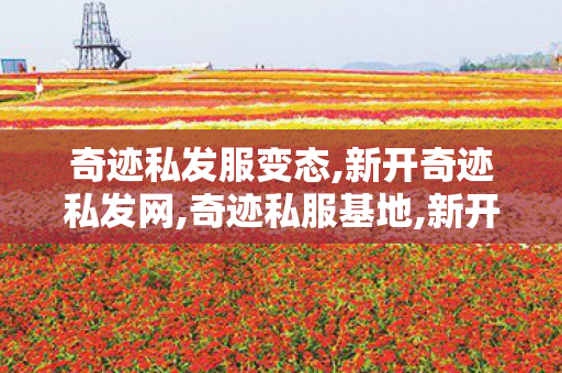 奇迹私发服变态,新开奇迹私发网,奇迹私服基地,新开奇迹私发网