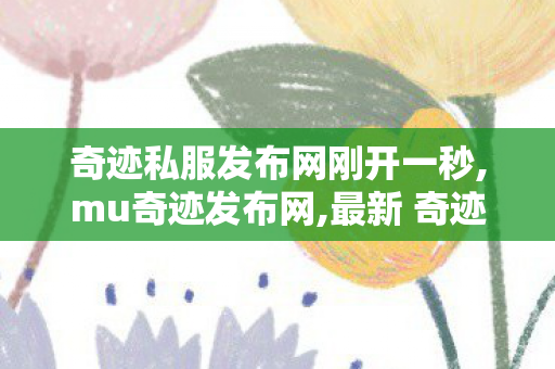 奇迹私服发布网刚开一秒,mu奇迹发布网,最新 奇迹发布网新开服,mu奇迹发布网