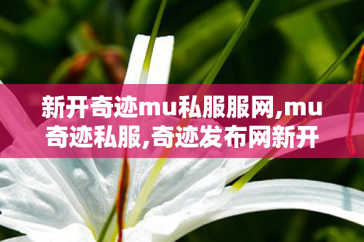 新开奇迹mu私服服网,mu奇迹私服,奇迹发布网新开服,mu奇迹私服