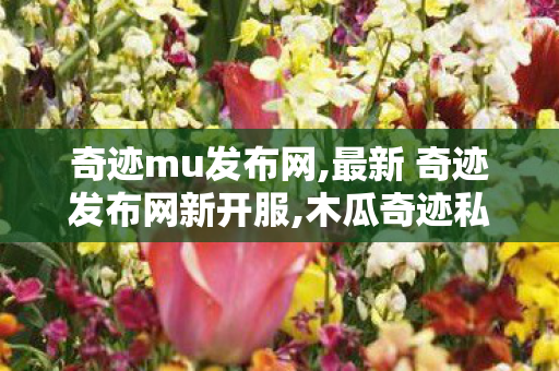奇迹mu发布网,最新 奇迹发布网新开服,木瓜奇迹私发服,最新 奇迹发布网新开服