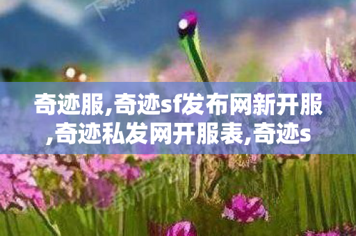 奇迹服,奇迹sf发布网新开服,奇迹私发网开服表,奇迹sf发布网新开服