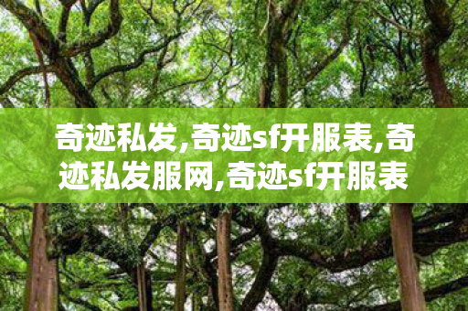 奇迹私发,奇迹sf开服表,奇迹私发服网,奇迹sf开服表
