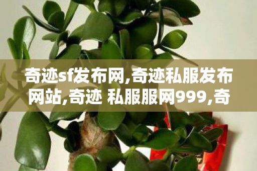 奇迹sf发布网,奇迹私服发布网站,奇迹 私服服网999,奇迹私服发布网站