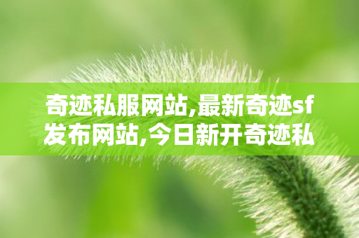 奇迹私服网站,最新奇迹sf发布网站,今日新开奇迹私发服网,最新奇迹sf发布网站